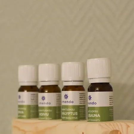 Apartmán Suuri Kaksio Omalla Sisaeaenkaeynnillae Ja Saunalla Kokkola (Karleby)